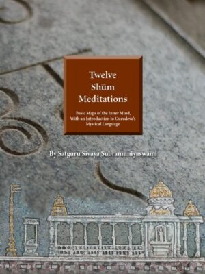 Twelve Shum Meditations (ePub)