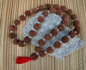 Mala - 36 Bead Kauai-Grown Rudraksha Japa