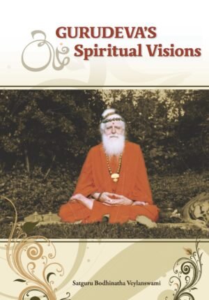 Gurudeva's Spiritual Visions