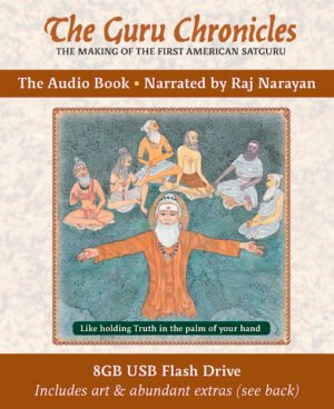 The Guru Chronicles (Audio Book)
