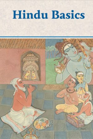 Hindu Basics (ePub)