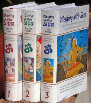 Master Course Supervised Study Online