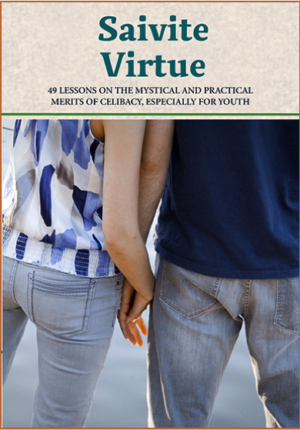 Saivite Virtue (ePub)