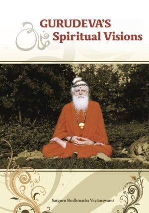 Gurudeva's Spiritual Visions (eBook)