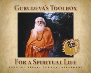 Gurudeva's Toolbox (ePub)