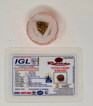 Rudraksha - Two Faces (Authentication Included)